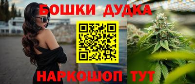 индика Ливны