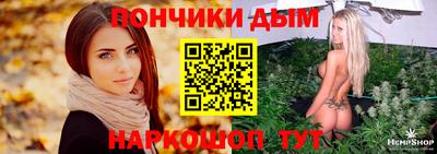 индика Ливны